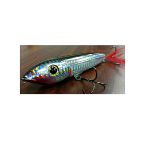 Robertson Topwater Lure Silver Back